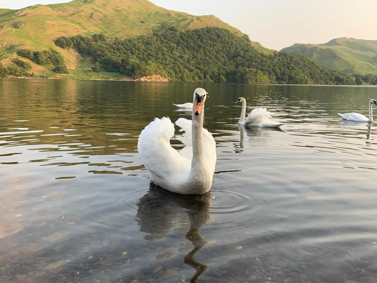 The Ullswater View Guest House Watermillock Exteriör bild